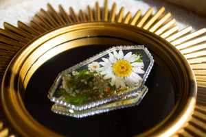 Floral Daisy Clip 2